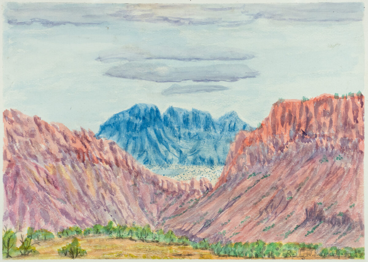 Tjoritja (West MacDonnell Ranges), NT - Painting - Betty Namatjira Wheeler