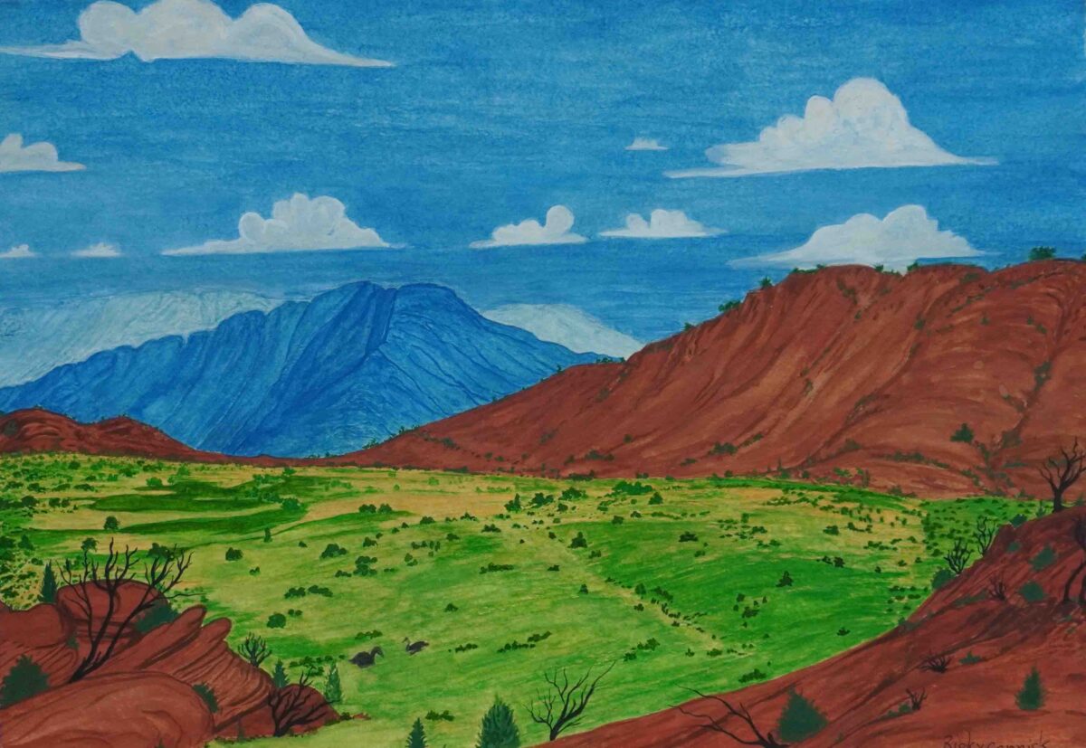 Tjoritja (West MacDonnell Ranges), NT - Painting - Ricky Connick