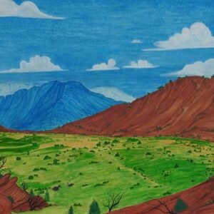 Tjoritja (West MacDonnell Ranges), NT - Painting - Ricky Connick