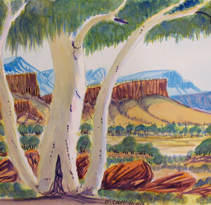 Tjoritja (West MacDonnell Ranges), NT - Painting - Hilary Wirri