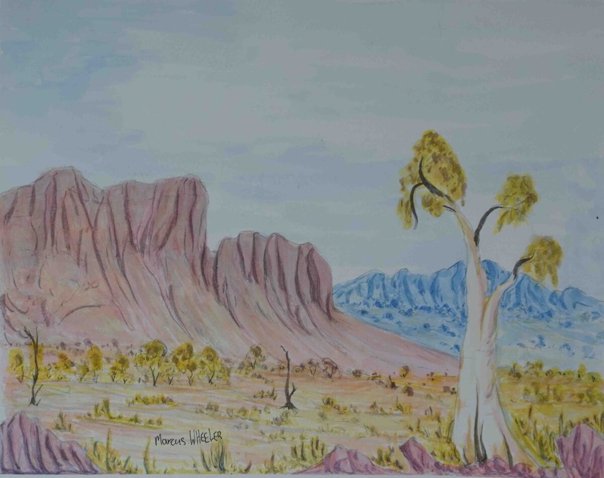 Ikuntji (Haasts Bluff), NT - Painting - Marcus Wheeler