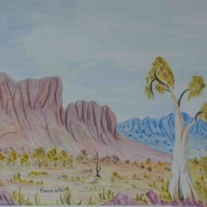 Ikuntji (Haasts Bluff), NT - Painting - Marcus Wheeler