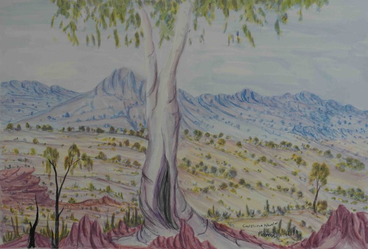 Tjoritja (West MacDonnell Ranges),NT - Painting - Marcus Wheeler