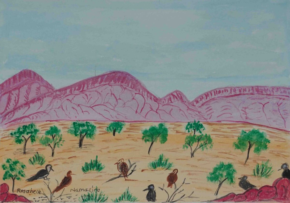 Armstrong Block, west of Alice Springs - Emerging Artists - Rosabelle Namatjira