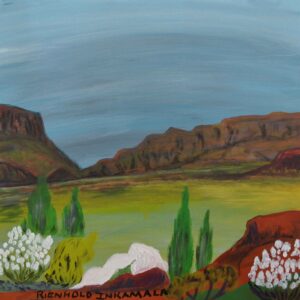 Tjoritja (West MacDonnell Ranges) , NT - Painting - Reinhold Inkamala